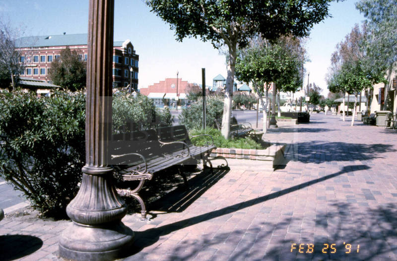 Mill Ave. Streetscape - bench