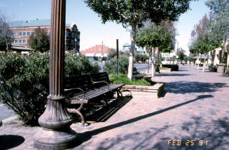 Mill Ave. Streetscape - bench