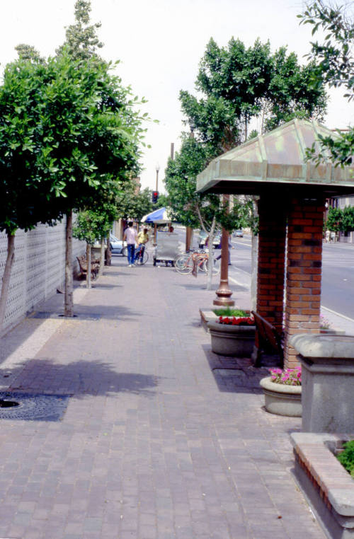 Mill Ave. Streetscape - covered bus stop