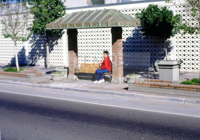 Mill Ave. Streetscape - covered bus stop