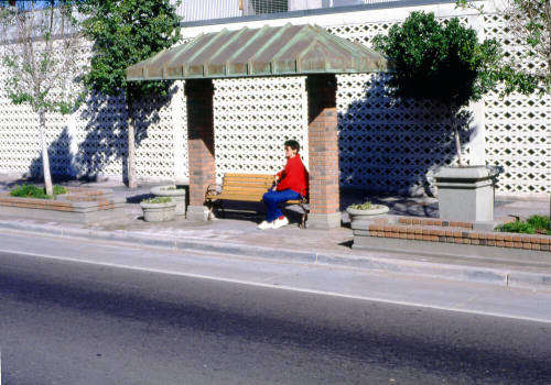 Mill Ave. Streetscape - covered bus stop