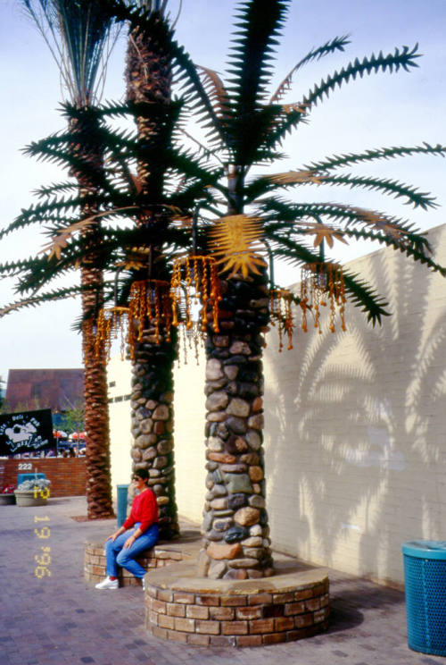 Mill Ave. Streetscape - University Drive bus stop
