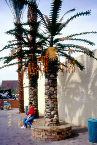 Mill Ave. Streetscape - University Drive bus stop