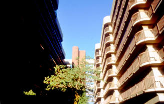 University Towers, 529 S. Forest Ave.