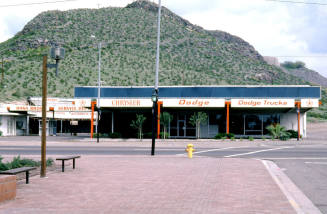 Dana Brothers, 201 S. Mill Ave.
