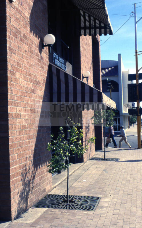 425 S. Mill Ave.