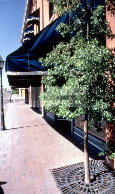 401 S. Mill Ave.