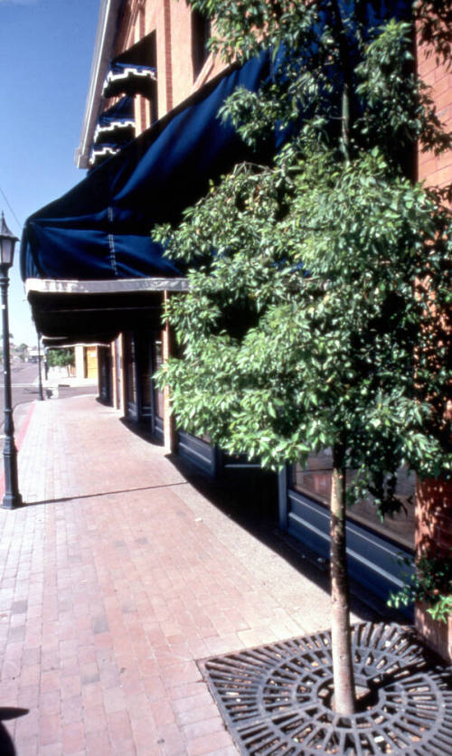 401 S. Mill Ave.