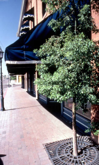 401 S. Mill Ave.