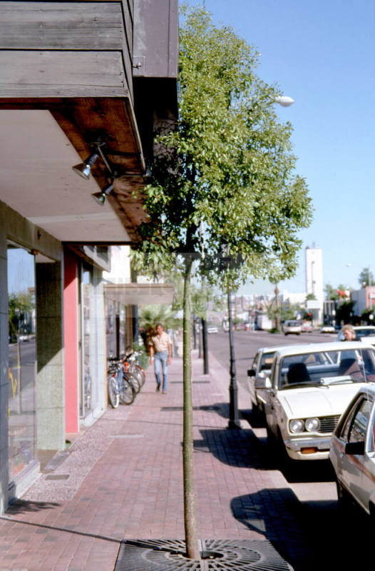 500 Block S. Mill Ave. (W)