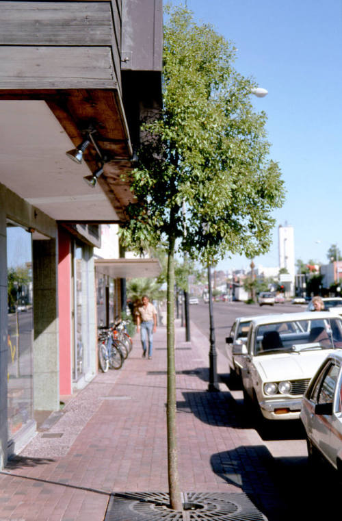 500 Block S. Mill Ave. (W)
