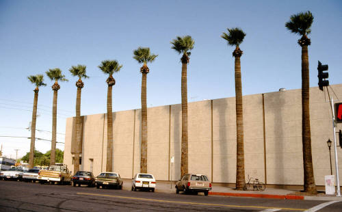 526 S. Mill Ave.