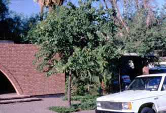 111 E. 5th St.