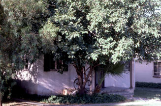 House, 115 W. 5th St.