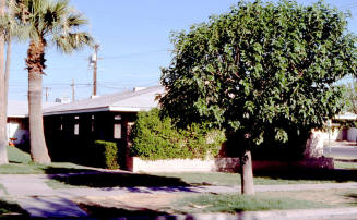 502 S. Ash Ave.