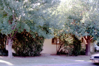 501 S. Ash Ave.