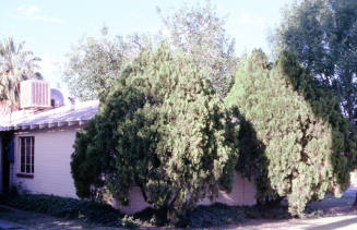 501 S. Ash Ave.