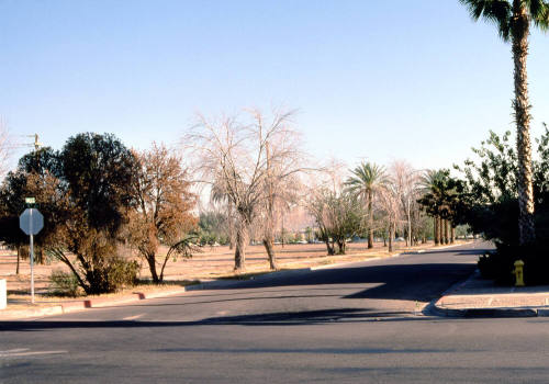 Northwest corner of 5th St. and Maple Ave.
