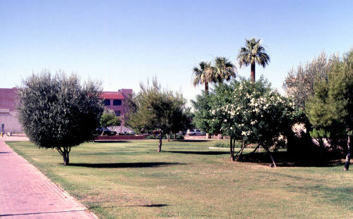 Small park at 222 S. Mill Ave