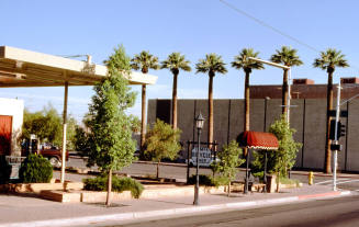 602 S. Mill Ave., Tempe Bicycle