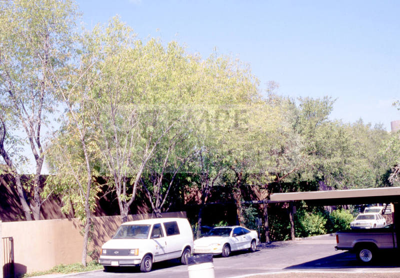 31 E. 5th St.