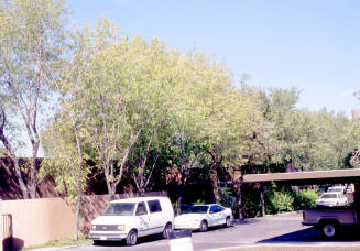 31 E. 5th St.