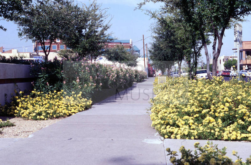 21 E. 6th Street - Sidewalk and plants