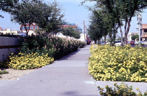 21 E. 6th Street - Sidewalk and plants