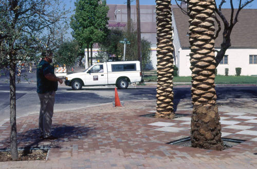 Street View of North Corner of University Drive and Myrtle Ave.