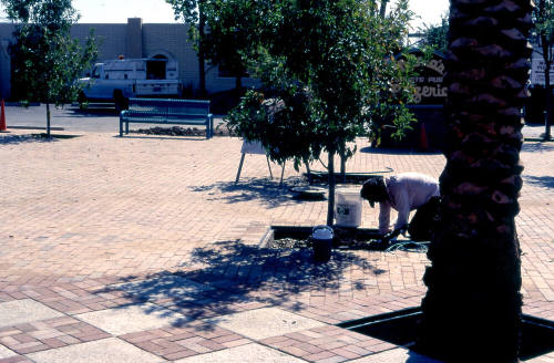 Street scene of Northeast corner of University Dr. and Myrtle Ave.