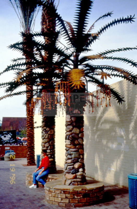 Street Scene, 200 Block E. University Dr.