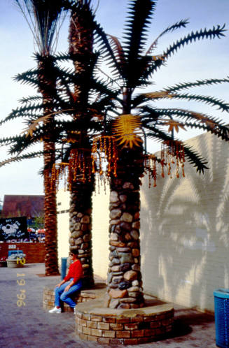 Street Scene, 200 Block E. University Dr.