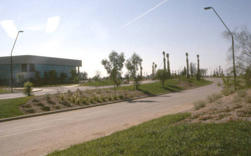 Arizona State University Research Park