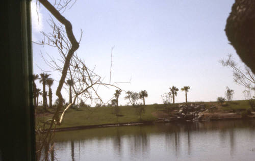 Across the Lake at Arizona State University Research Park