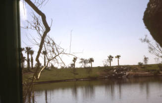 Across the Lake at Arizona State University Research Park