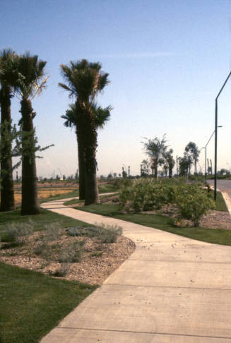 Sidewalk and Landscaping at Arizona State University Research Park