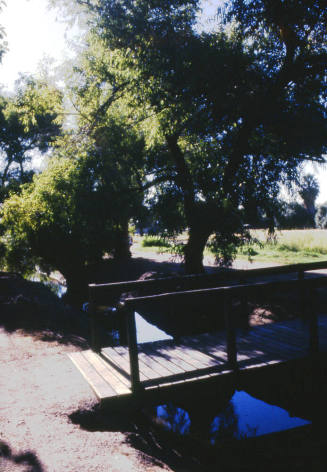 Mill Avenue area - Canal Bank with foot bridge
