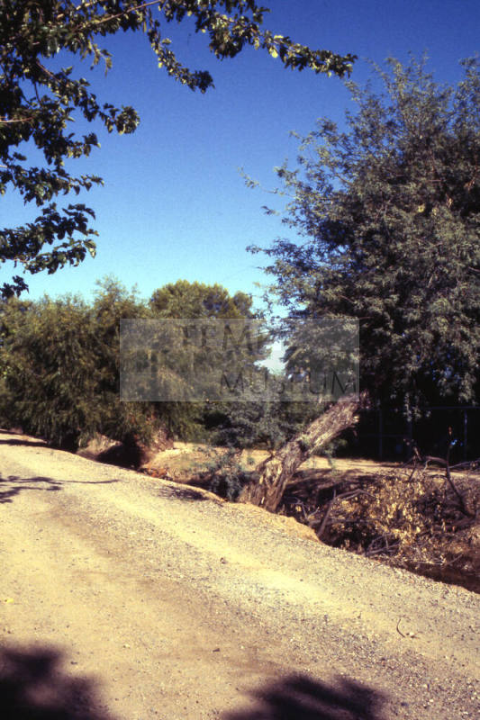 Canal Bank - between Apache and 15th Street