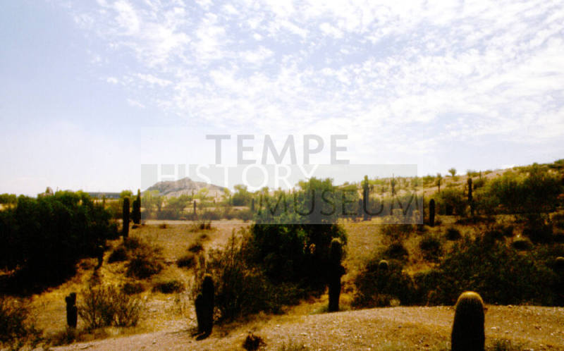 College & Curry Road - Papago Park