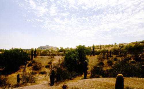 College & Curry Road - Papago Park