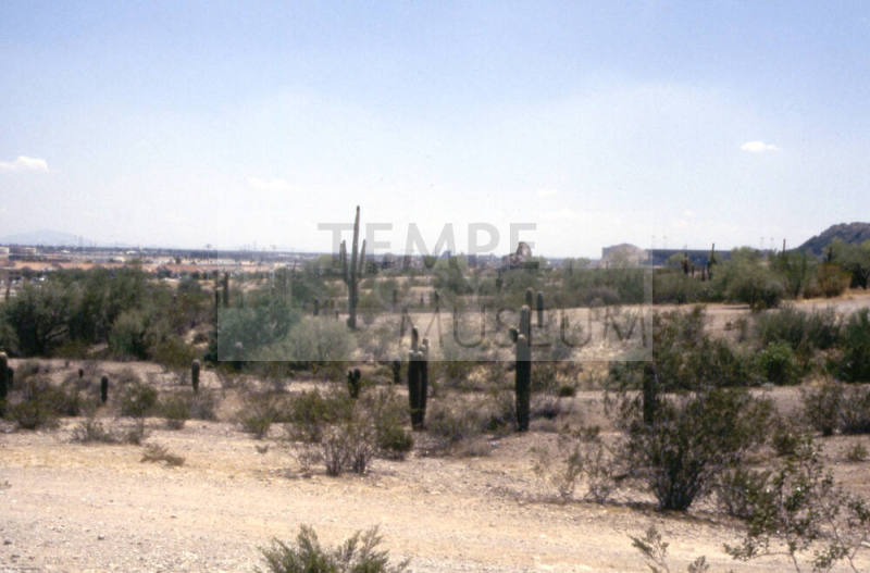 College & Curry Road - Papago Park