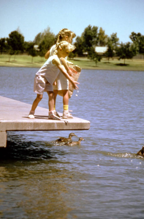 Two children feeding duck at Kiwanis Park lake - Mill & All American Way