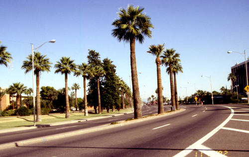 Mill Avenue Curve into Apache Boulevard - 222 E Apache Boulevard