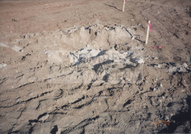 Existing Tower Foundation and Stake Out