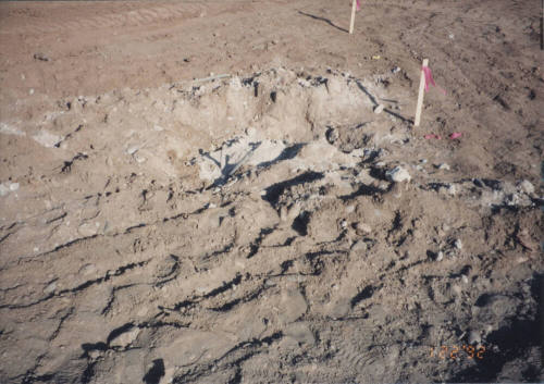 Existing Tower Foundation and Stake Out