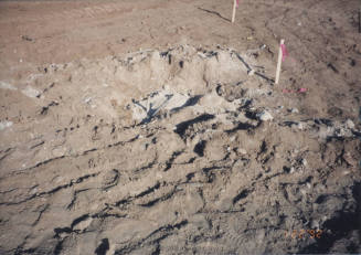 Existing Tower Foundation and Stake Out