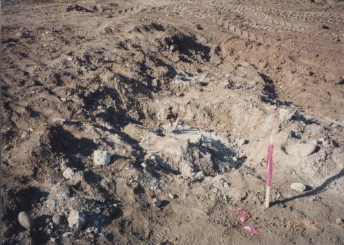 Existing Tower Foundation and Stake Out