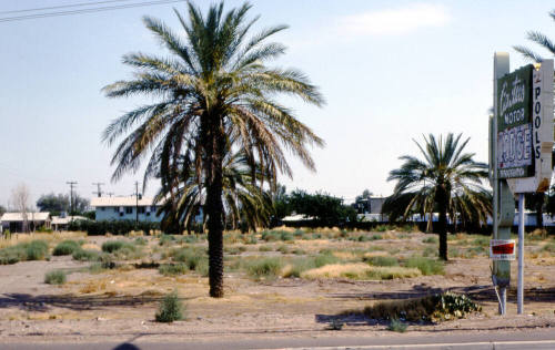 Vacant Lot, 1830 E. Apache