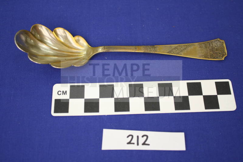 Sugar Shell Spoon