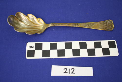 Sugar Shell Spoon